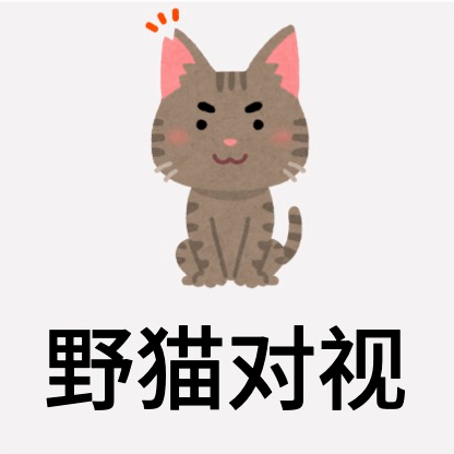 野猫对视